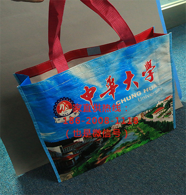 天河區(qū)手提袋,彩印購物手挽袋,東星禮品購物袋廠家